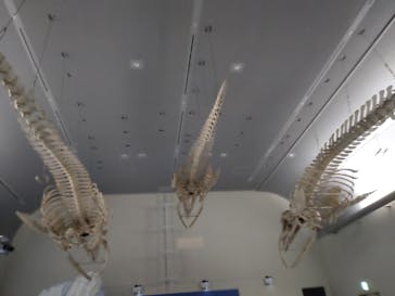 名古屋港水族館に投稿された画像（2023/8/28）