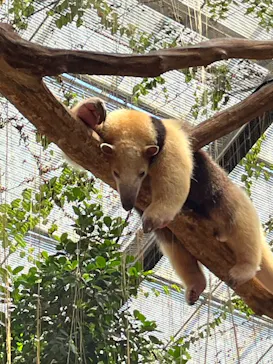 神戸どうぶつ王国に投稿された画像（2023/8/28）