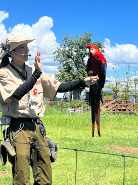 神戸どうぶつ王国に投稿された画像（2023/8/28）