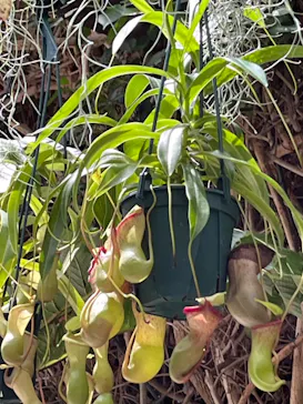 神戸どうぶつ王国に投稿された画像（2023/8/28）