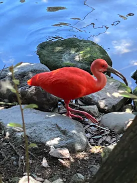 神戸どうぶつ王国に投稿された画像（2023/8/28）