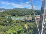 日本モンキーパークに投稿された画像（2023/8/28）