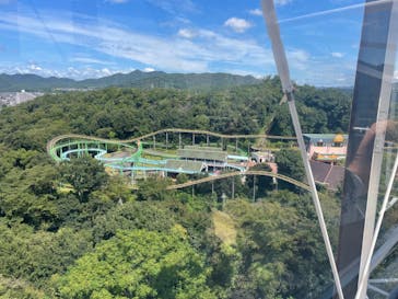 日本モンキーパークに投稿された画像（2023/8/28）