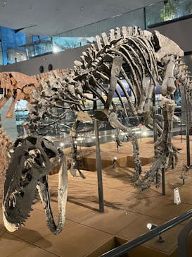 福井県立恐竜博物館に投稿された画像（2023/8/28）