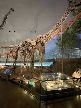 福井県立恐竜博物館に投稿された画像（2023/8/28）