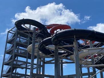 芝政ワールドに投稿された画像（2023/8/28）