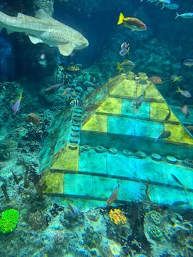 レゴランドⓇ・ジャパン・リゾートに投稿された画像（2023/8/28）