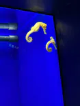 サンシャイン水族館に投稿された画像（2023/8/28）
