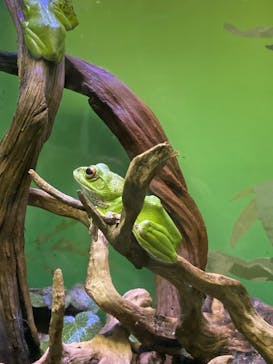 サンシャイン水族館に投稿された画像（2023/8/28）