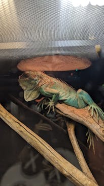 NARA IKIMONO MUSEUMに投稿された画像（2023/8/28）