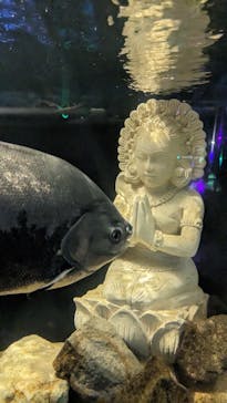 NARA IKIMONO MUSEUMに投稿された画像（2023/8/28）