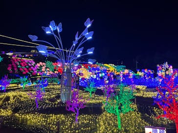 伊豆ぐらんぱる公園に投稿された画像（2023/8/28）