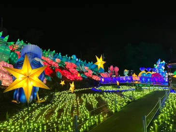 伊豆ぐらんぱる公園に投稿された画像（2023/8/28）