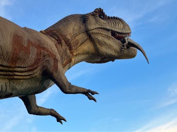 伊豆ぐらんぱる公園に投稿された画像（2023/8/28）