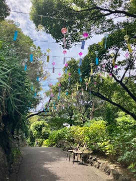 ニューヨークランプミュージアム＆フラワーガーデンに投稿された画像（2023/8/28）