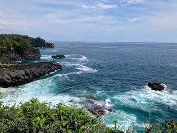 ニューヨークランプミュージアム＆フラワーガーデンに投稿された画像（2023/8/28）