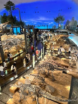 福井県立恐竜博物館に投稿された画像（2023/8/28）