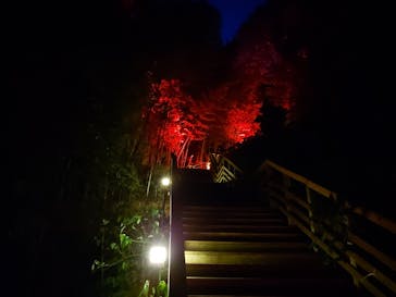 ニジゲンノモリに投稿された画像（2023/8/28）