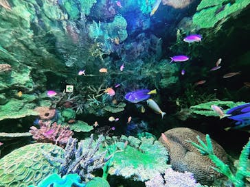 サンシャイン水族館に投稿された画像（2023/8/28）