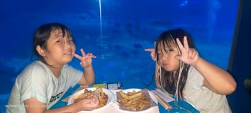 沖縄美ら海水族館に投稿された画像（2023/8/28）