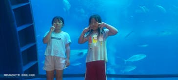 沖縄美ら海水族館に投稿された画像（2023/8/28）