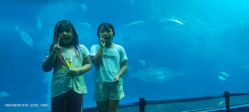 沖縄美ら海水族館に投稿された画像（2023/8/28）