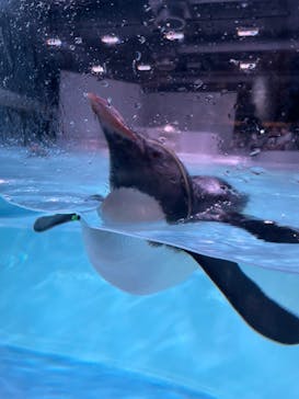 AOAO SAPPOROに投稿された画像（2023/8/28）