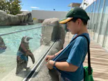 仙台うみの杜水族館に投稿された画像（2023/8/28）