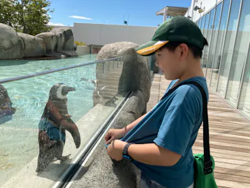 仙台うみの杜水族館に投稿された画像（2023/8/28）