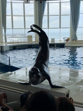 アクアワールド茨城県大洗水族館に投稿された画像（2023/8/28）
