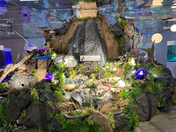 NARA KINGYO MUSEUMに投稿された画像（2023/8/28）