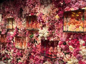 NARA KINGYO MUSEUMに投稿された画像（2023/8/28）