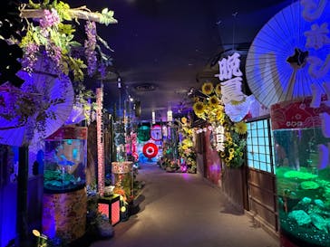 NARA KINGYO MUSEUMに投稿された画像（2023/8/28）