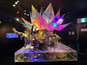 NARA KINGYO MUSEUMに投稿された画像（2023/8/28）