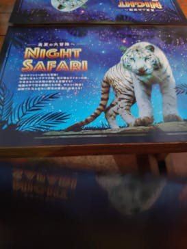 群馬サファリパークに投稿された画像（2023/8/28）