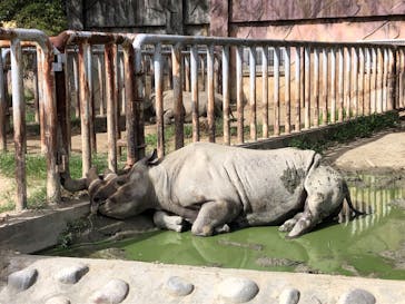 日立市かみね動物園に投稿された画像（2023/8/28）