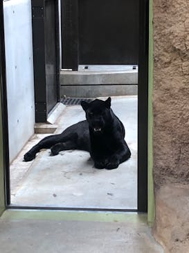 日立市かみね動物園に投稿された画像（2023/8/28）