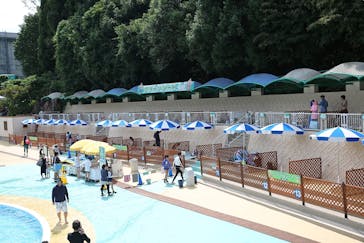 日本モンキーパークに投稿された画像（2023/8/28）