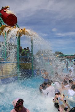 日本モンキーパークに投稿された画像（2023/8/28）