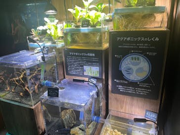 サンシャイン水族館に投稿された画像（2023/8/28）