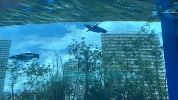 サンシャイン水族館に投稿された画像（2023/8/28）