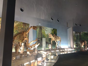 福井県立恐竜博物館に投稿された画像（2023/8/28）