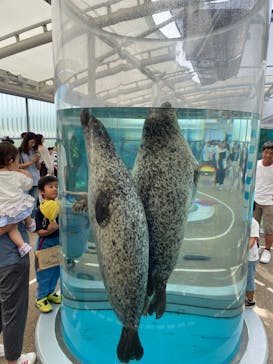 京都鉄道博物館×京都水族館に投稿された画像（2023/8/28）