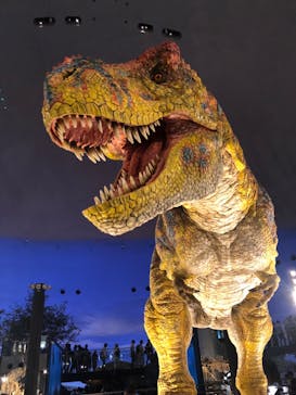 福井県立恐竜博物館に投稿された画像（2023/8/28）
