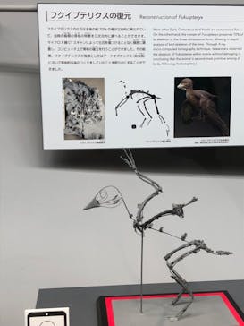 福井県立恐竜博物館に投稿された画像（2023/8/28）