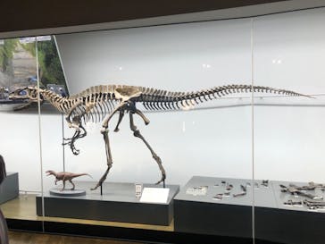 福井県立恐竜博物館に投稿された画像（2023/8/28）