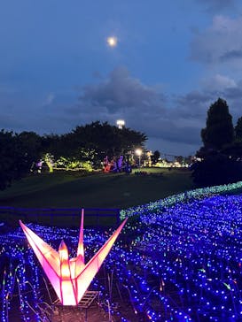 伊豆ぐらんぱる公園に投稿された画像（2023/8/28）