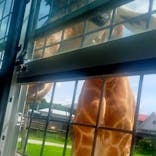 那須サファリパークに投稿された画像（2023/8/29）