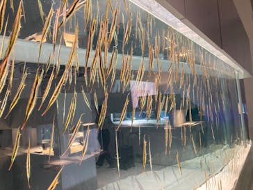 AOAO SAPPOROに投稿された画像（2023/8/28）