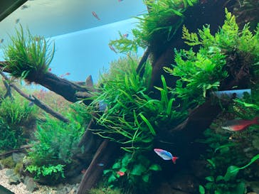 AOAO SAPPOROに投稿された画像（2023/8/28）